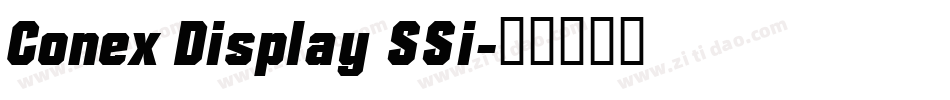 Conex Display SSi字体转换